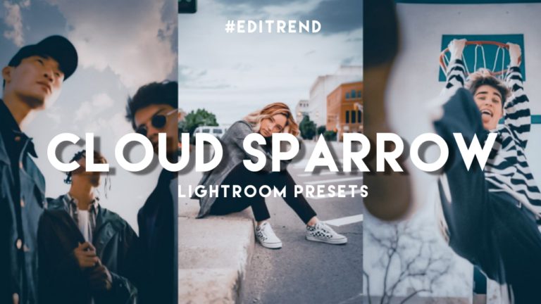 Lightroom presets free dng | Cloud Sparrow Photograpy | Editrend