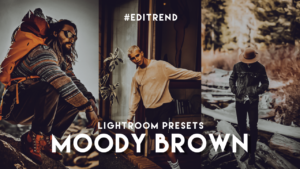 Moody Brown No Password LR Presets | Editrend.