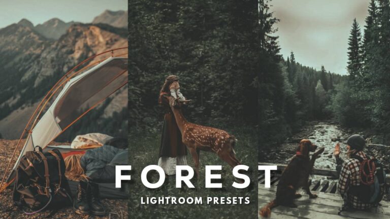 Photo Editing – Forest Lightroom Presets Download –…